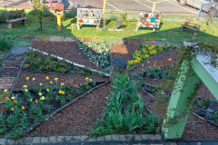 IMG-20230426-WA0010-1